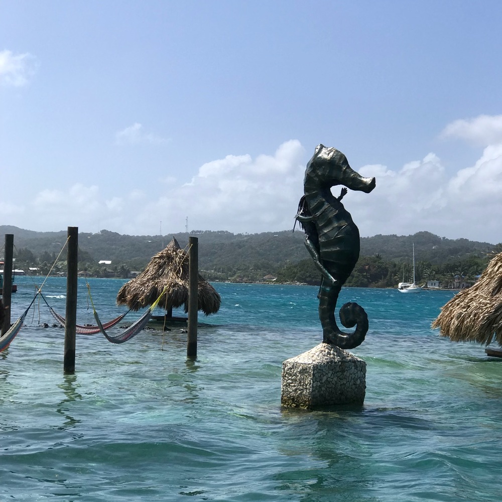 Meet your Posher, Laci